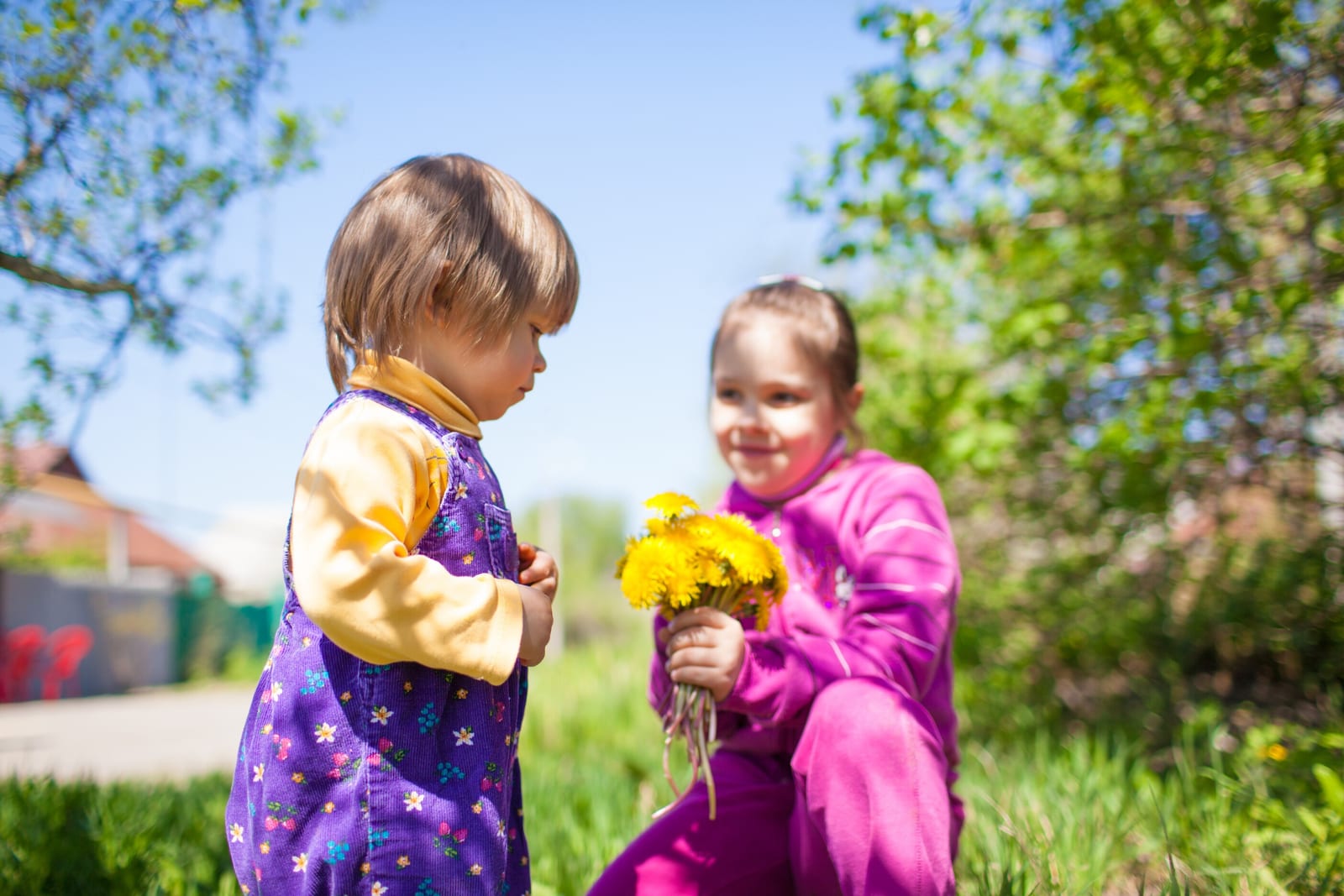 Emotional Intelligence in Children: A Guide to Social Success from 0 to 6