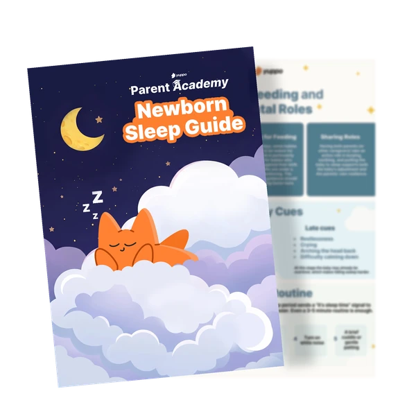 Newborn Sleep Guide
